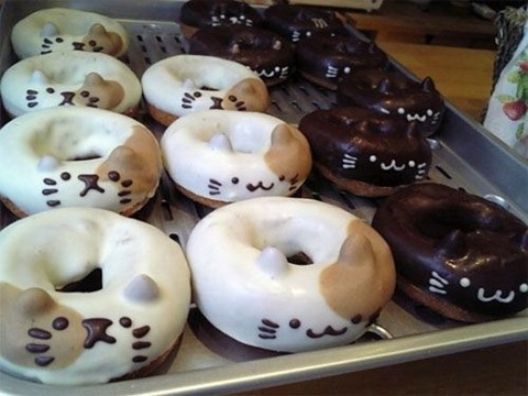catcatDonuts