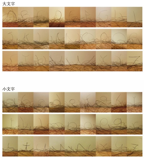 sunege_font