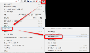GoogleChromeHistoryDel4