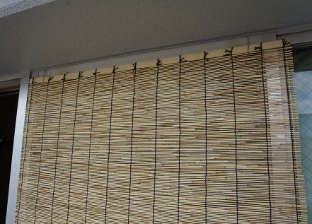 DSC00492_2