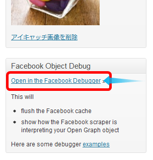 facebookdebuglinks3