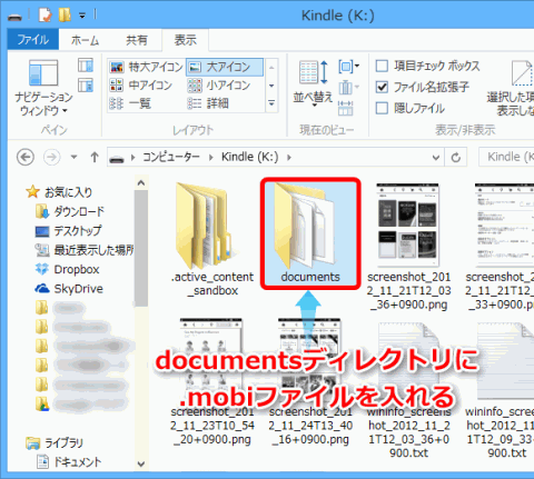 KindlePaperwhiteConv4_sh