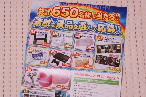wiiUAndPikmin3atYamada2013_4_sh