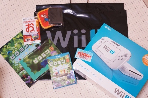 wiiUAndPikmin3atYamada2013_7_sh
