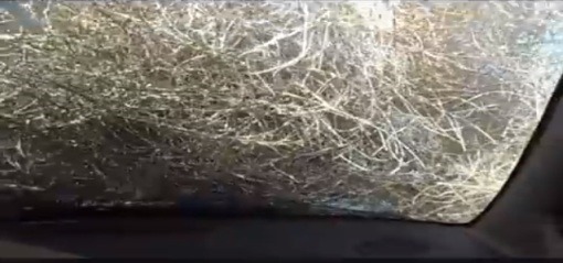 TumbleweedStormInColorado_4_sh