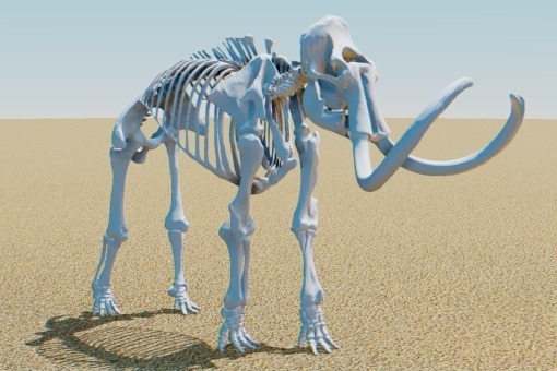 WebGLHumanFaceReal_2_sh