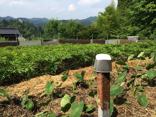 farm_002