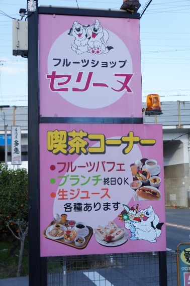 FruitShopCeline201411_26_sh