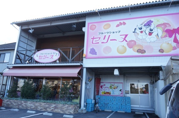 FruitShopCeline201411_28_sh