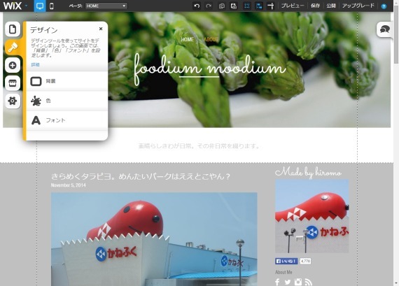 buildMyOwnSiteWithWix.com_28_sh