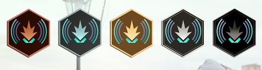 sojournerMedal