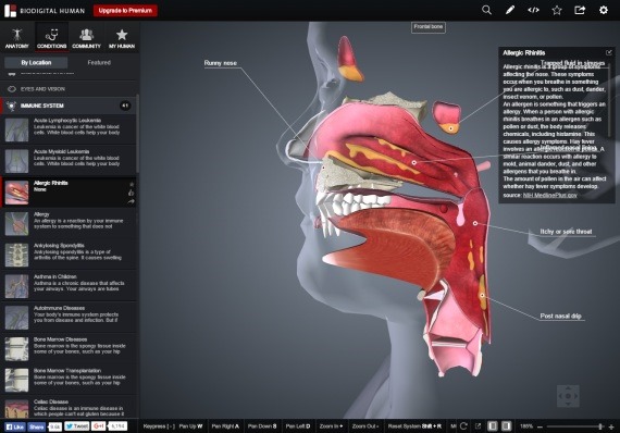 BioDigitalHuman_12_sh