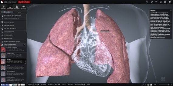 BioDigitalHuman_1_sh