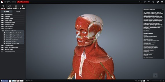 BioDigitalHuman_6_sh
