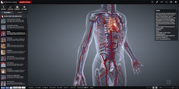 BioDigitalHuman_8_sh