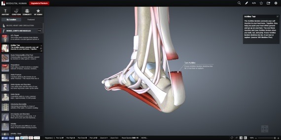 BioDigitalHuman_9_sh