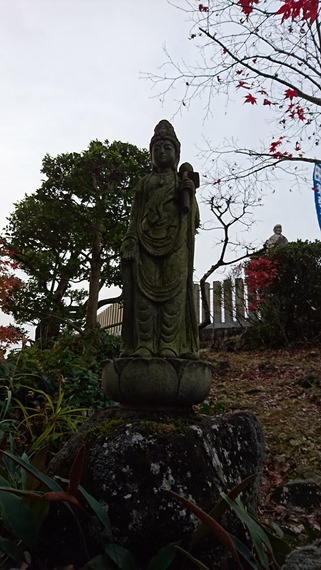 XperiaZ5_camera_test_51