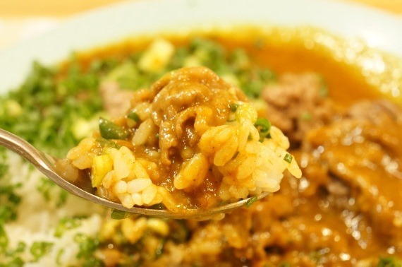moja_curry_meets_wasabi_negi_86_sh