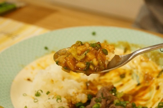 moja_curry_meets_wasabi_negi_94_sh