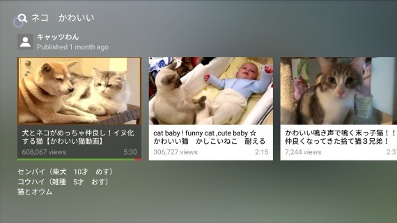 how_to_voice_search_on_youtube_in_firetv_15_sh