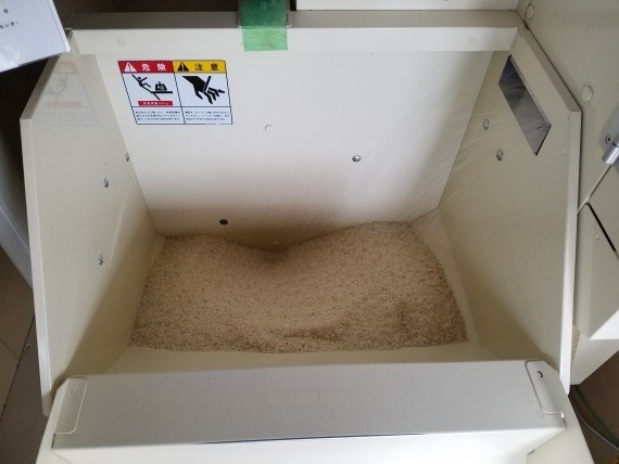 coin_pikasen_rice_selector_11_sh