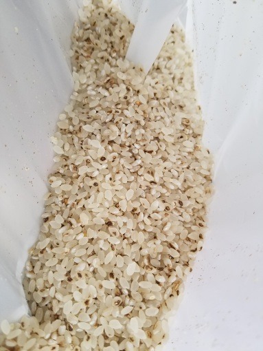 coin_pikasen_rice_selector_23_sh