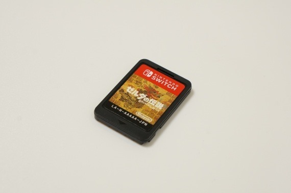 nintendo_switch_photo_review_100_sh
