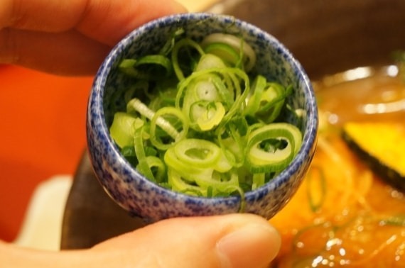 toyohashi_curry_udon_10_sh