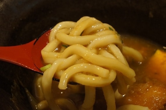 toyohashi_curry_udon_15_sh