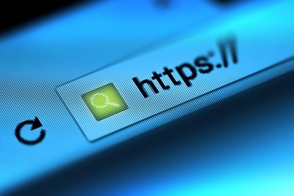 Search Engine Security