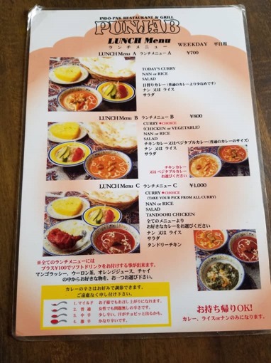 ichinomiya_punjab_review_10