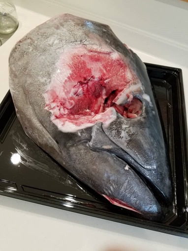 costco_blue_fin_tuna_10_sh