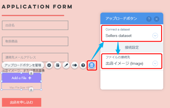 wix_user_input_how_to_23