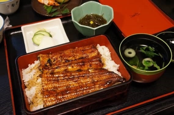 unagi_disco_sh