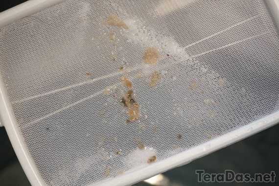 how_to_prevent_itchy_house_drying_15_sh