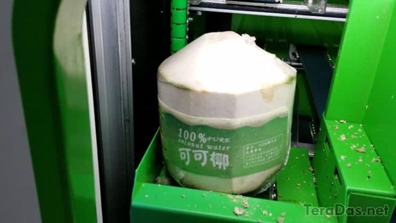 coconuts_water_vending_machine_in_taipei_8