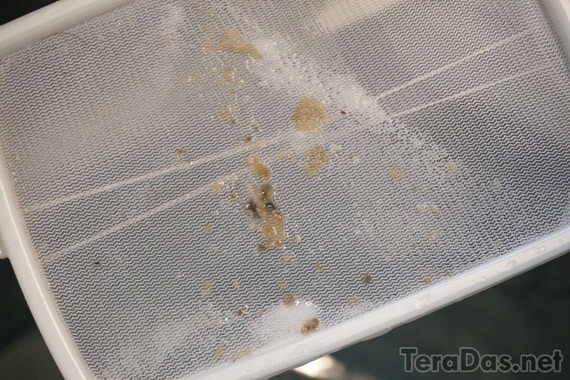 washing_machine_cleaning_failed_1_5