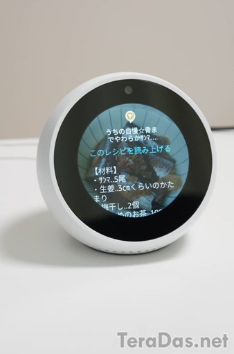 echo_spot_review_55_sh