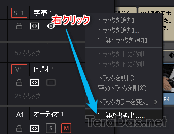 subtitle_with_davinci_resolve_4