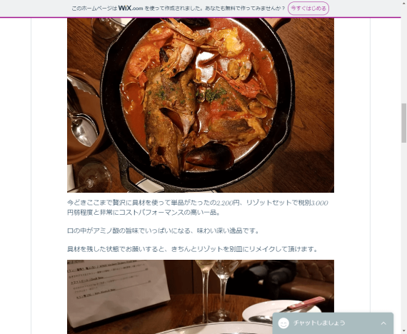 wix_adi_review_1
