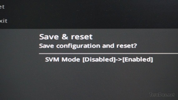vmware_amd_v_error_2019_1_sh