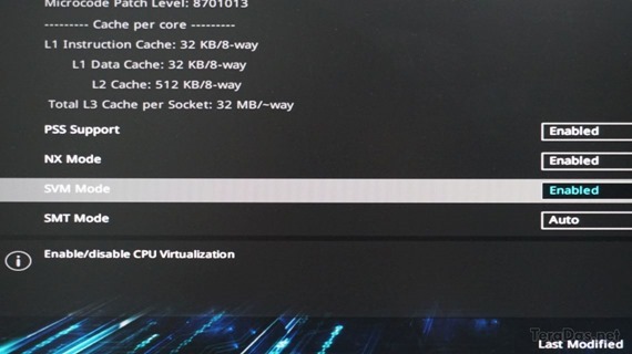 vmware_amd_v_error_2019_4_sh